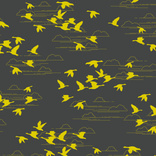 Geese 01