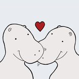 Hippos