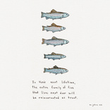 Trout