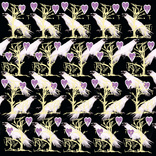 raven black