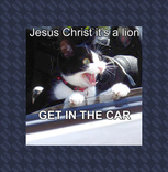Jesus Christ it's a lion