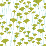 ginkgo olive 