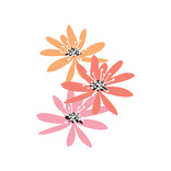 Three Flowers