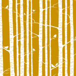 birch gold 