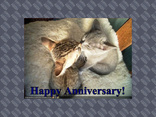happy anniversary