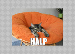 halp