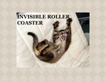 invisible roller coaster