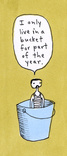 Live In Bucket