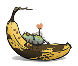 banana fly