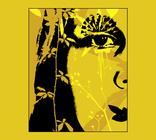 face 01