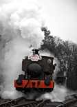 santa train