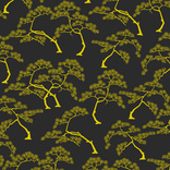 Bonzai 03