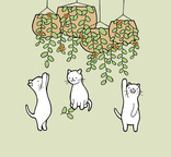conservatorycats