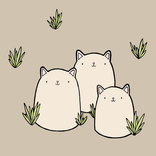 Cat Sprouts