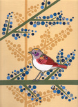 mod baby warbler