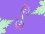 curly q 27
