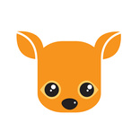 deer  