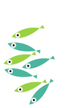 Chung Card Fish 