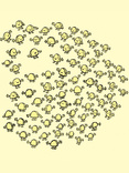 Crowd Of Corn