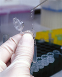 DNA Solution