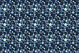 2551 76204