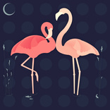 patternflamingos.jpg