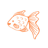 Goldfish 1