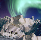 penguin scene