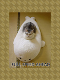 full speed ahead
