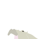 Hippo