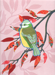 green tit
