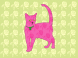 Catz