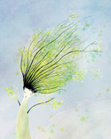 spring wind 03b