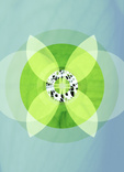 1096-2.jpg