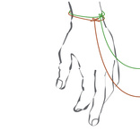 Line L