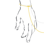 Line L