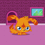 Katsuma 