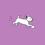 Run Doggy Run