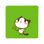 Cat and Clover