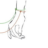 Line R