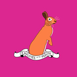 Top Bunny