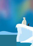 Northern Lights