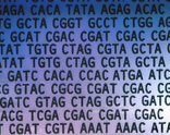 DNA Sequence