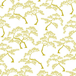 Bonzai 05