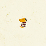 Harlequin Dog