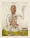 Anatomy of an Artist