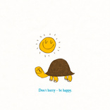 no hurry turtle