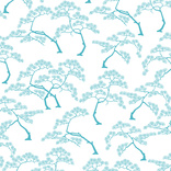 Bonzai 02
