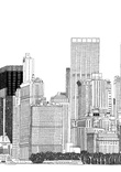 ny3 