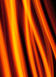 1033.jpg